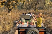 3-Day Chitwan National Park Jungle Safari Tour Package with Pick Up