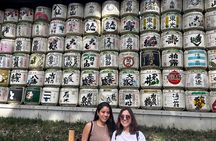 Exclusive One-Day Tokyo Private Walking Tour with Expert Guide