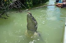 Private Boat Tour of Rio Lagartos