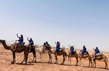 Half day Quad and Camel Ride Combination