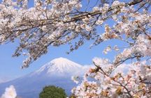 Mount Fuji Customizable one day Private Tour from Tokyo