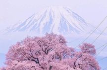 Mount Fuji Customizable one day Private Tour from Tokyo