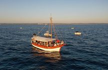 Lim Bay and Pirate Cave with Lunch Boat Tour from Porec 