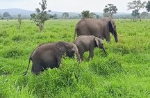 3 Days Safari Adventure in Mikumi National Park