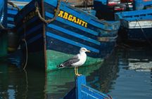 Private Essaouira Day Trip from Marrakech