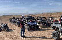 Dinner Show with Buggy Ride and Camel in Agafay Desert 