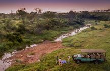 Full/Half Day Kruger Park Safari | Pickup & Drop-off Marloth Park