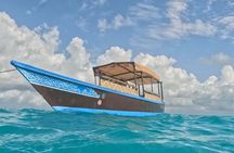 Mnemba Snorkeling and Swimming with Dolphins Trip