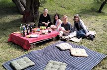 Matera : Gourmet Picnic among Centuries-Old Olive Trees and Views