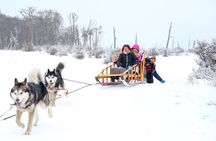 White Adventure with Sledge Ride and Snowmobile