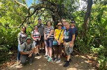 Sloth Forest Tour, Organic Coffee and Chocolate Tour & Waterfall
