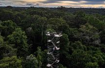 Collpa Chuncho 3 Days: The Greatest Macaw Spectacle in Tambopata