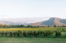 Sydney Hunter Valley Private Wine Tour with Tastings and Lunch