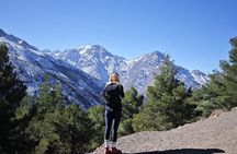 Marrakech: Atlas Mountains Day Hike, Talamrout Summit 2700M