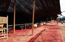 Experience Quad, Camel Riding and Dinner Show in Agafay