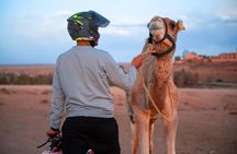Marrakech: Agafay Desert Quad Biking & Camel RIDE & Dinner & Show