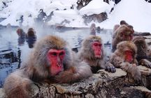 Snow Monkey Park, Soba Lunch and Shibu Onsen Tour - Private Tour