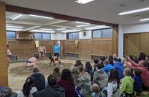 Tokyo: Visit To Sumo Stable & Watch Morning Practice 