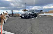 Private Daikoku Parking Area Tour