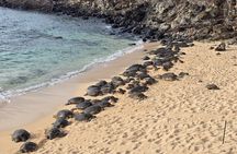 Private Road to Hana Tour with Pickup