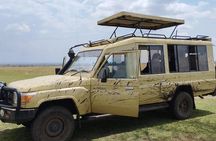 Epic 5-Day Kenya Safari – Big Five Experience