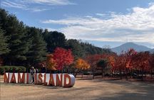  Seoul to Nami Island Alpaca World and Everland with Driver