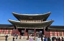  Seoul to Nami Island Alpaca World and Everland with Driver