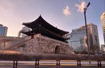  Seoul to Nami Island Alpaca World and Everland with Driver