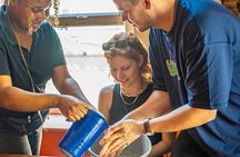 Flavours to Freedom: A journey through Cape Town's dark history.