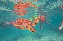 Tulum Ruins, Sea Turtles & Cenote Snorkeling Adventure Tour