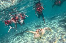 Tulum Ruins, Sea Turtles & Cenote Snorkeling Adventure Tour