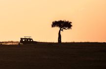 Thrilling 3-Day Private Safari in Masai Mara 