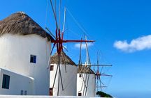 Mykonos Highlights Private Tour For New Explorers 