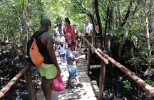 Mnemba, Jozani Forest, Kuza Cave and The Rock Restaurant Tour.