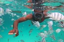 Mnemba, Jozani Forest, Kuza Cave and The Rock Restaurant Tour.