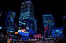 Customizable car tours in Tokyo