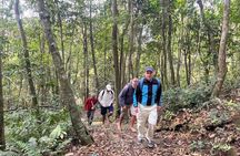 Duong Lam Village & Ba Vi National Park Jeep Tour From Hanoi