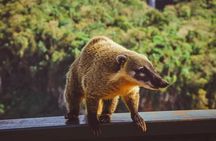 Iguazu Falls 2-Day Private Tour Package