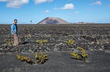 Wine Lovers Winery Tour in Lanzarote