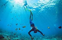 White Island & Ras Mohammed National Park from Sharm El Sheikh