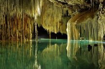 Mountain Bike Jungle Tour and Cenote
