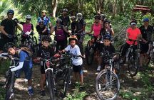 Mountain Bike Jungle Tour and Cenote