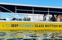 2 Stop Reef Snorkel and Glass Bottom Boat Adventure