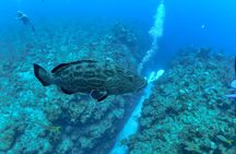 Belize Barrier Reef Two Tank Dive Experience 