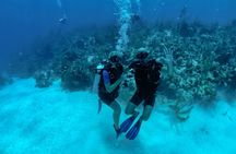 Belize Barrier Reef Two Tank Dive Experience 