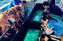 2 Stop Reef Snorkel and Glass Bottom Boat Adventure