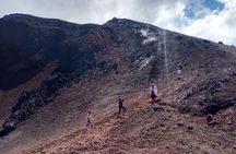 Guided Etna Tour in the morning with pick-up from Catania