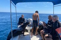 Private Balandra Bay Adventure