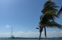 Isla Mujeres Plus Tour with Snorkeling Buffet and Open Bar