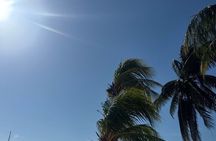 Isla Mujeres Plus Tour with Snorkeling Buffet and Open Bar